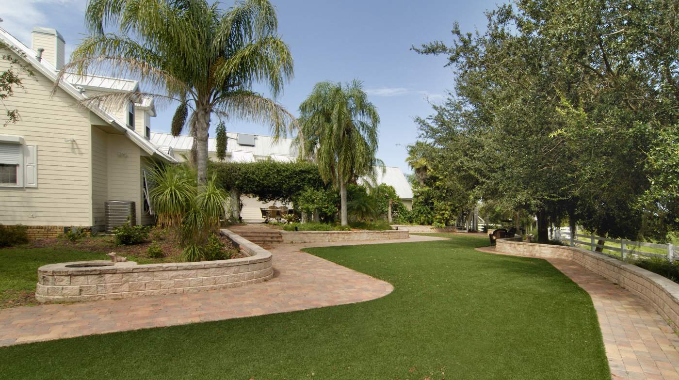 Yard with green grass and palm trees